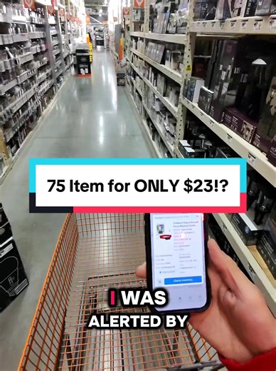RUN to Home Depot 🏃‍♂️ Found a $75 petsafe collar for $23 in clearance! #dealalert #homedepot #clearance #clearancefinds