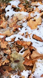 260W laser igniter | Laser Diy