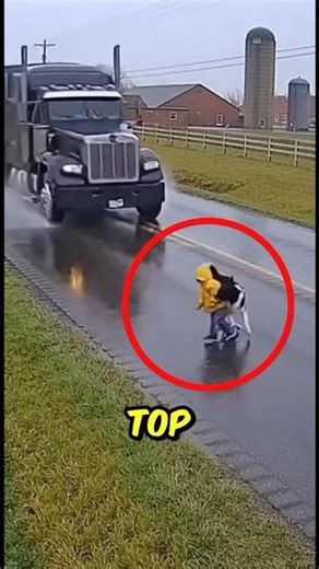 Top 3 Animals That Saved Human Lives The Last One Sacrificed Half Her Face #dogstories #facts