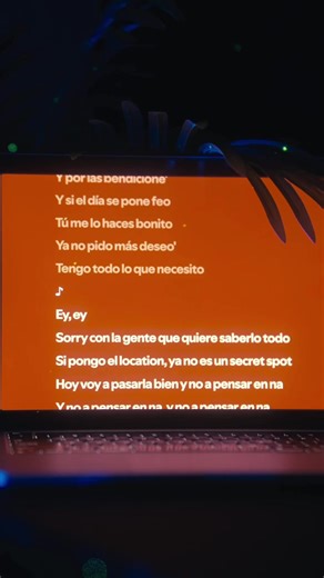 Bad Bunny Vacation Lyrics Overview