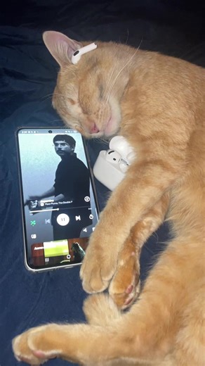 #elginger #dopamina #pesopluma #titodoublep #dinastialaija | peso pluma