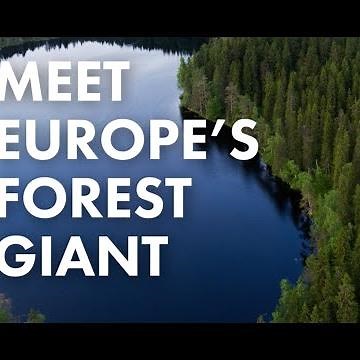 UPM - Sustainable Forest Management