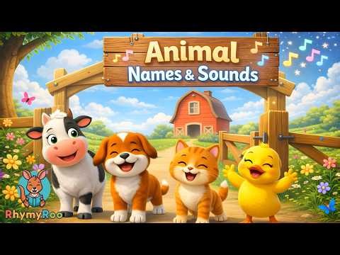 Learn Animal Names & Sounds – Fun Kids Song | RhymyRoo