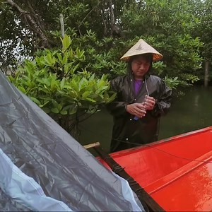 Extreme Canoeing River Camping in Heavy Rain and Strong Wind with My Puppies | Raelyn