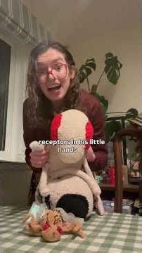 Do you know how male fruit flies flirt? Find out about the biology of fruit flies!