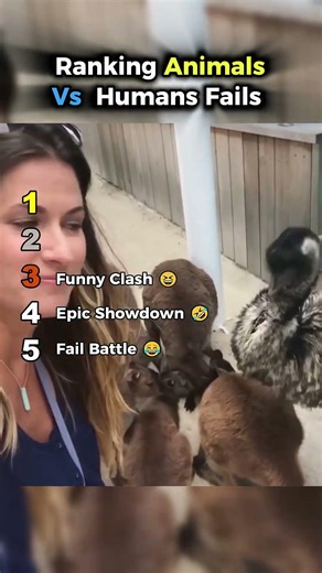 😂 Ranking Animals Vs Humans Fails That Are Too Funny 🤣 || #shorts #failbattle @Daily_take_clips