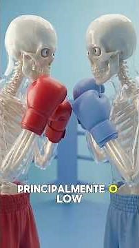 STRONGEST KICKS IN THE WORLD (MARTIAL ARTS)