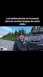 Une martre pourchasse un lièvre | Patrick R. Bourgeois