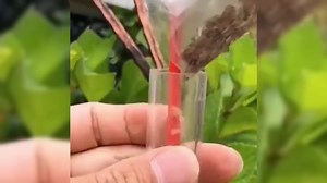 AIIONP 6 PCS Mini Seed Spreader, 2025 Upgrade Mini Sowing Seed Dispenser, Small Seed Planter Tool, Manual Seedlings Dibber and Widger Set, Seed Sower Spreader Handheld for Tiny Seeds (Set B)