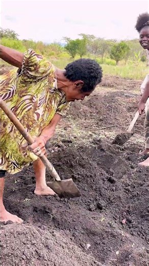 Learning New Languages