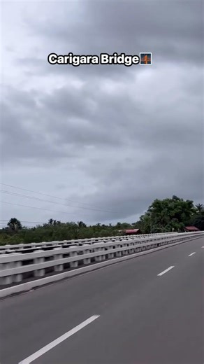CARIGARA BRIDGE // ROSEVILL THE DORA EXPLORER #asmr #viral #shortvideo #views #bridge