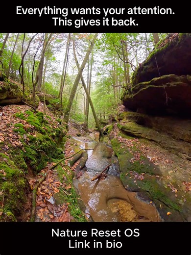 How to turn off a busy mind This isn’t meditation. It’s a nervous system reset. If your mind feels loud, this helps you slow it down. #calmanxiety #nervoussystemreset #overstimulated #burnoutrecovery #mentalreset