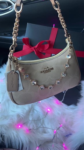 Links in my bio to order girlss 😘💝 follow me on insta:emilyxoshop for reviews 🌸#fyp #coachbags #need #valentinesday