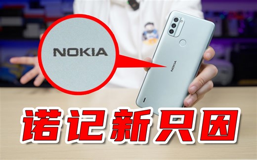 【小白开箱】继续玩死自己？昔日终极王者诺基亚发布圾皇：诺基亚C31