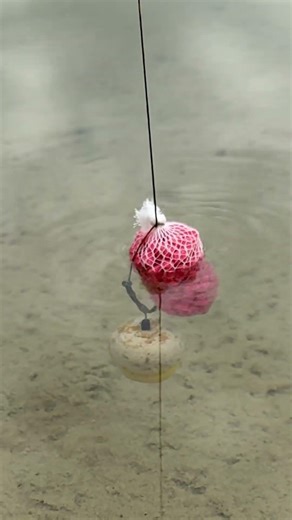 The Ultimate Spring Trap! 🌸 Insane PVA Stick Hack #fishing #carpfishing #рыбалка #karpfenangeln