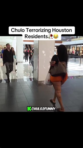 Chulo's Hilarious Antics in Houston