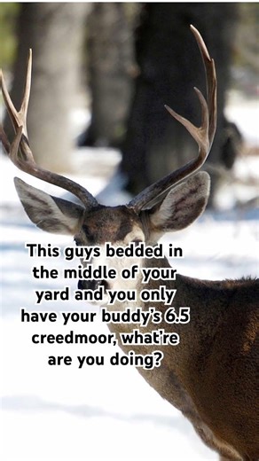 #hunting #deer #funny