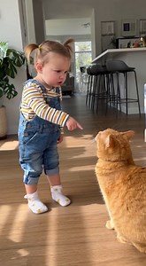 256K views · 8K reactions | “Ginger Cat Faces the Toddler Talk” #catsofinstagram #catoftheday #cats | Cute pie | Facebook
