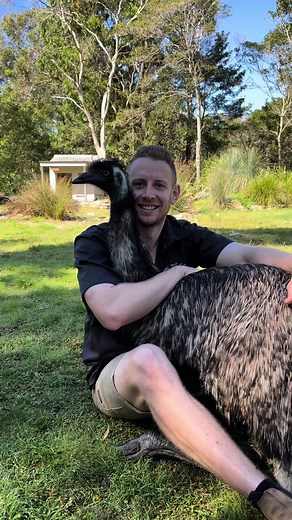 Ben Dessen (@bendessen) - Meet Moo: The Rescued Emu and Fascinating Facts About Emus