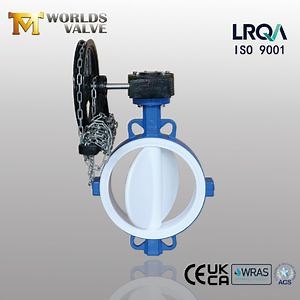 [Hot Item] Full Coating Butterfly Valve with Chain Wheel Hand Wheel