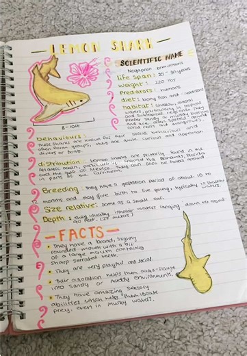 Discovering Lemon Sharks: A Marine Biology Journey