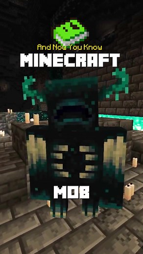AndNowYouKnowMinecraft on TikTok