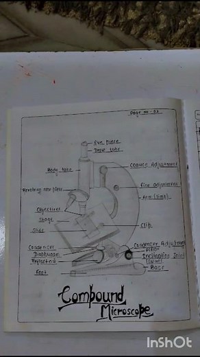 Compound microscope 🔬🌷 diagram | Cell | Science diagram made easy for you by us #ssseducation