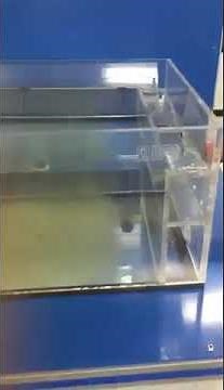 Sedimentation Tank Design and Function: A Quick Dive #civilengineering #subscribe #comment #fluids