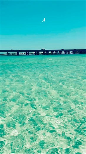 87K views · 2.6K reactions | If summer had a highlight reel, Crab Island would be the cover shot. 呂️☀️ | CrabIsland.com | Facebook