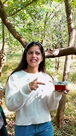 Want to Cook Anywhere? Try This Portable Stove Now