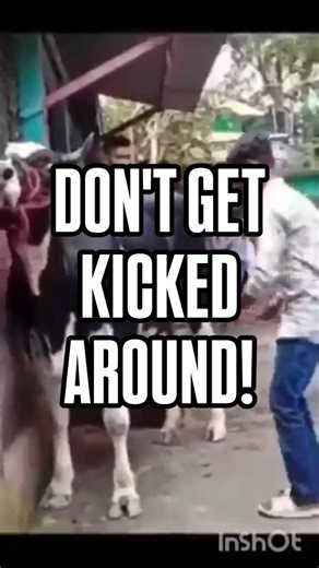 What do we mean by "experience service how it should be?" Read below ⬇️ At ExperTec Automotive we believe in providing our customers with the highest quality service possible. That’s why we’ve been voted the best auto repair shop in Orange County by the readers of the O.C Register for 8 years running. DM or call us at any of our 3 locations in Anaheim, Costa Mesa and Huntington Beach, whether you need routine maintenance, major repairs, or anything in between, we’ve got you covered. . . . . . #e