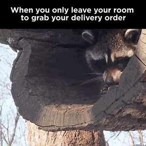 the struggle is real | BuzzFeed