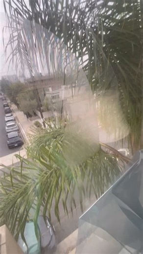 “Today we were in Venice Beach, California, removing window tint from a master bedroom window. We service both residential and commercial properties. Call or text us at 213-762-6699.” If you want it a little more hype for | Robert Cruz