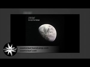 Zero Cult - Moonlight Run Remixes - 01 Moonlight Run (Original Mix)