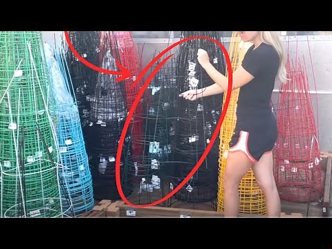 Grab a tomato cage for this STUNNING Christmas idea!