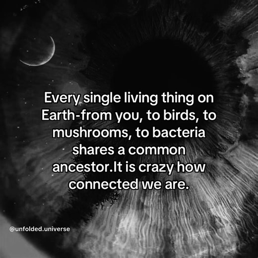 Common Ancestor: Fascinating Facts About Evolution