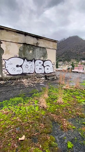 Exploring Urban Art: Graffiti on a Dilapidated Building