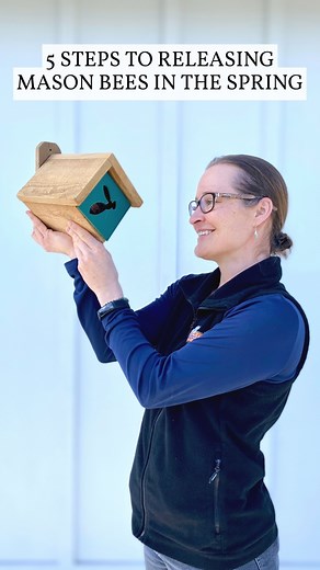 254K views · 2.8K reactions |  Did you know that mason bees, aka...