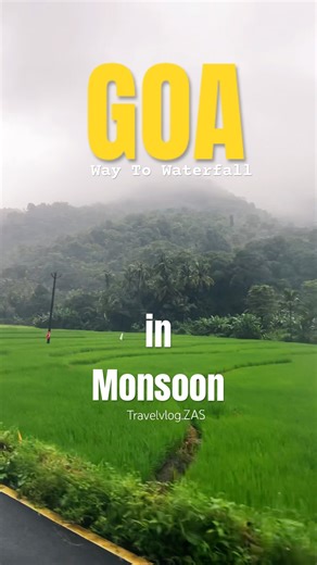 Epic Goa Monsoon: The Ultimate Nature Adventure | South Goa #travel #nature #rain