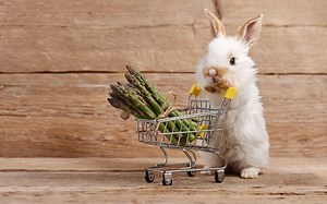 Yes, Rabbits Can Eat Asparagus! But Follow These 5 Tips