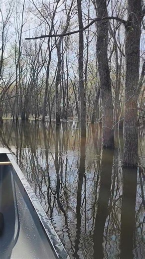 Had a great 8 Mile paddle on Saturday from Blue River to Boscobel. The river was at 30,000 cubic feet per second and rising, as of this morning at 4 a.m. it's up to 34,000 and still has a little higher to go. Incredible weather, 60°, sunny, almost no wind and what there was was coming out of the Northeast and pushing me along...it was gorgeous! Reservations are coming in, would love to see the summer! www.canoe-camping.com/rentals | WI River Outings
