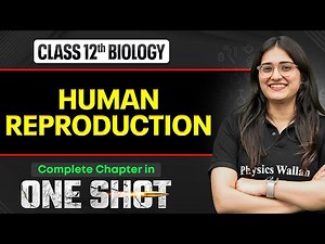 Human Reproduction Class 12 One Shot 🔥| NCERT Full Revision + PYQs | Biology Chapter 2 | VIJETA 2026