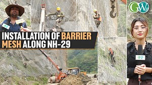 Global Window on Reels