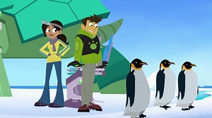 1.9K views · 313 reactions | Happy Penguin Awareness Day!  Can you top Chris and Martin's penguin waddle? | Wild Kratts | Facebook