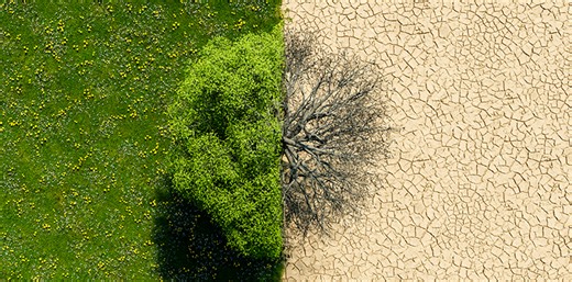 Orange refuerza su apuesta por la eficiencia energética en la Hora del Planeta - IndustriAmbiente