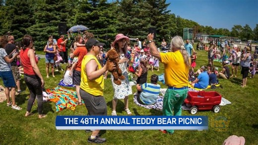 The Teddy Bear's have their picnic - NTV: Newfoundland and Labrador's Most Trusted News Source