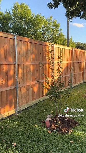 Upgraded 8ft Cedar Fence Installation in DFW Area