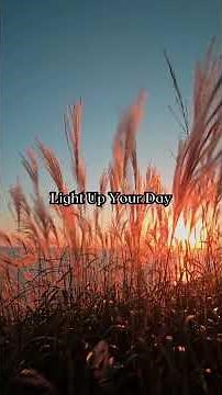 Light Up Your Day 🌞| 3-Minute Express Meditation | Feel Happy Now😃 #quickmeditation