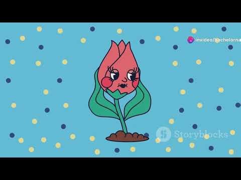 Bachelor Nation: The Cartoon Adventure Special (1996-2002)