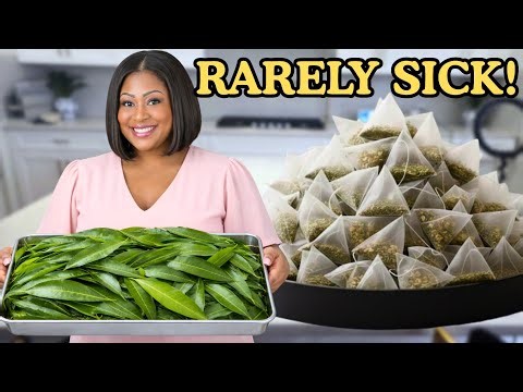 This Is Why I Rarely Get Sick | My Daily Herbal Tea Habit | Homemade Tea Bags.